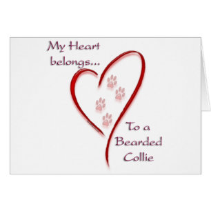 Coeur de Collie hérité