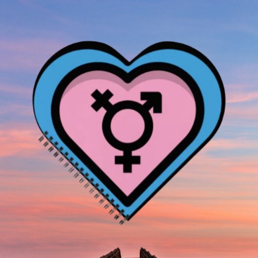 Coeur du Carnet Spiral de la Trans Pride