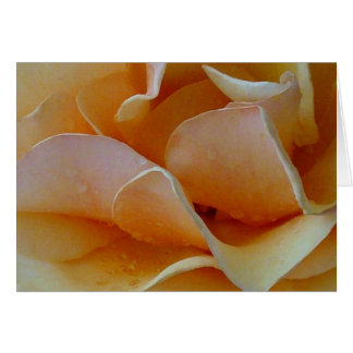 Coeur d'un Rose