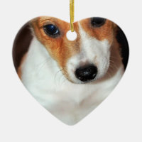 Ornement de chiot de Jack Russell Terrier