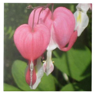 Coeur floral saignant - Grande Carreaux de photo e