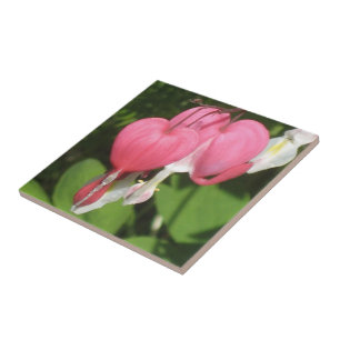 Coeur floral saignant Petite Carreaux de photo en