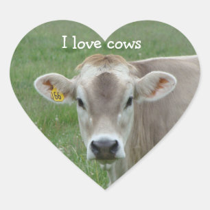 Cœur I Love Cows Heart Sticker
