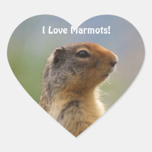 Cœur I Love Marmottes Faune Photo Sticker Coeur