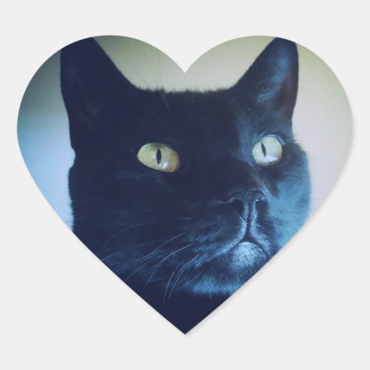 Cœur Je Suis Chat Sticker (Devant)