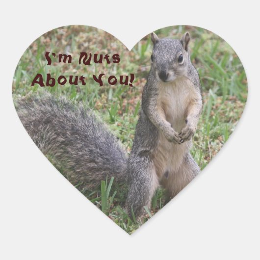 Cœur Je suis Nuts à propos de vous Sticker (Devant)