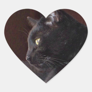 Cœur Portrait de mon garçon, Sticker Charlie Heart