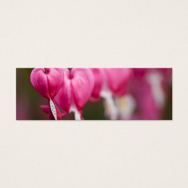 Coeur saignant (Devant)