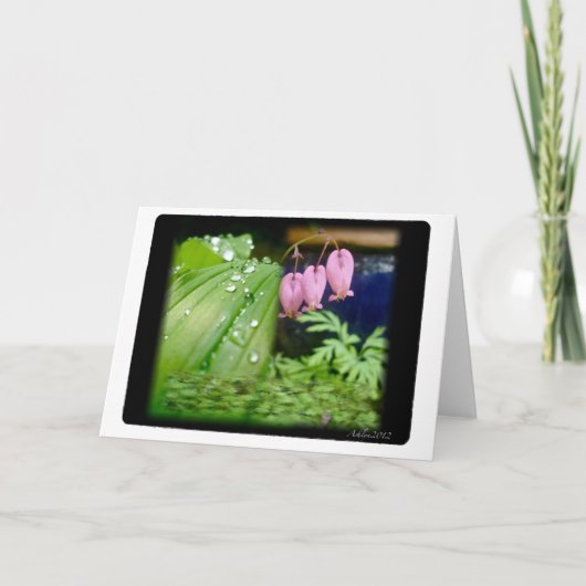 Coeur saignant, carte blanche (Devant)