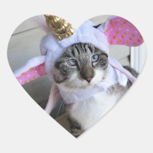 Cœur Sticker 1