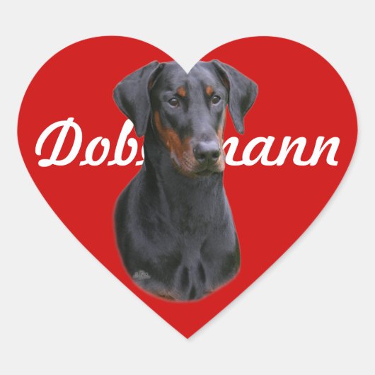 Cœur Sticker à oreille naturelle Dobermann Pinscher (Devant)