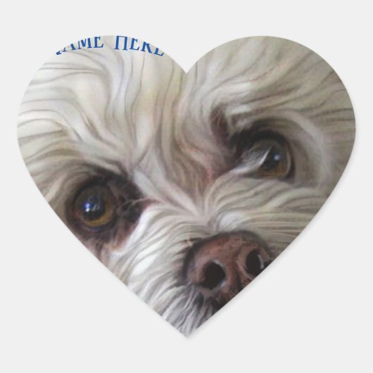 Cœur Sticker Bichon Poodle Maltese PeekaBoo (Devant)