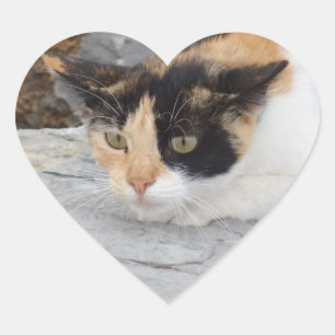 Cœur Sticker centré pour coeur de chat