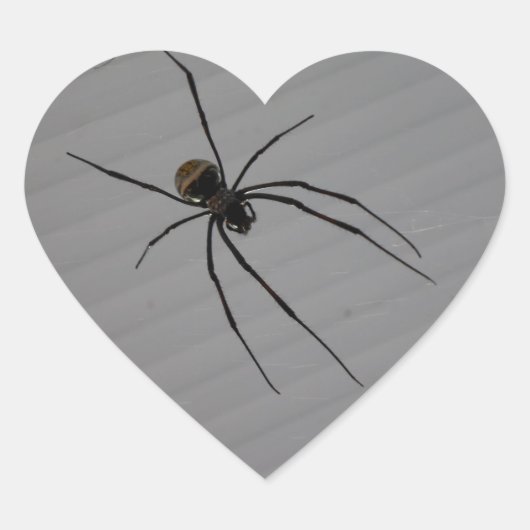 Cœur Sticker Coeur Araignée (Devant)