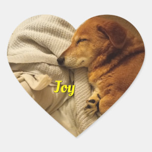 Cœur Sticker Coeur de Chien Souriant