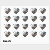 Cœur Sticker Coeur de cygne blanc (Feuille)