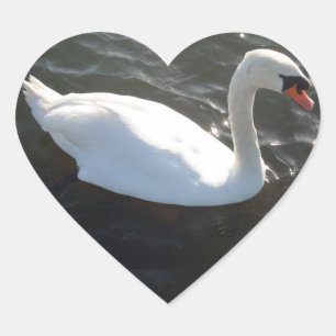 Cœur Sticker Coeur de cygne blanc