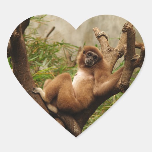 Cœur Sticker Coeur de singe (Devant)