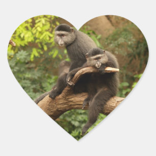 Cœur Sticker Coeur de singe