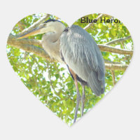 Sticker Coeur d'oiseau de grand bleu Heron