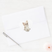 Cœur Sticker Coeur du Chihuahua Long Haired (Enveloppe)