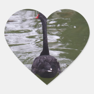 Cœur Sticker Coeur du cygne noir
