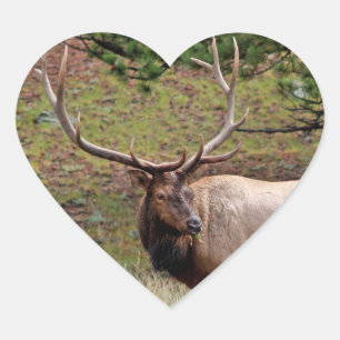 Cœur Sticker Coeur Elk