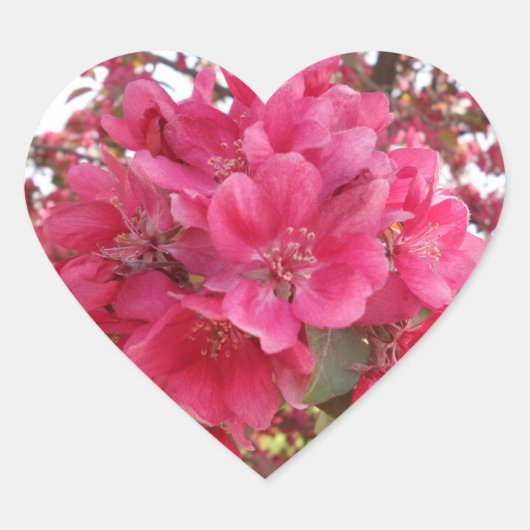 Cœur Sticker Coeur Fleur Printemps (Devant)