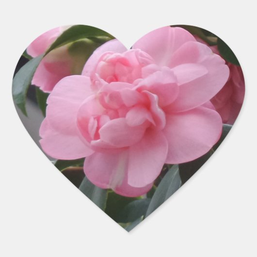 Cœur Sticker Coeur Fleur Rose (Devant)