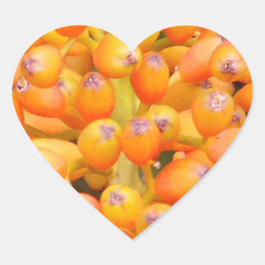 Cœur Sticker Coeur Graines Fleur (Devant)