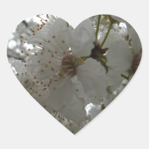 Cœur Sticker Coeur Plum Flower
