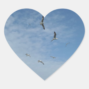 Cœur Sticker Coeur Seagulls Flying