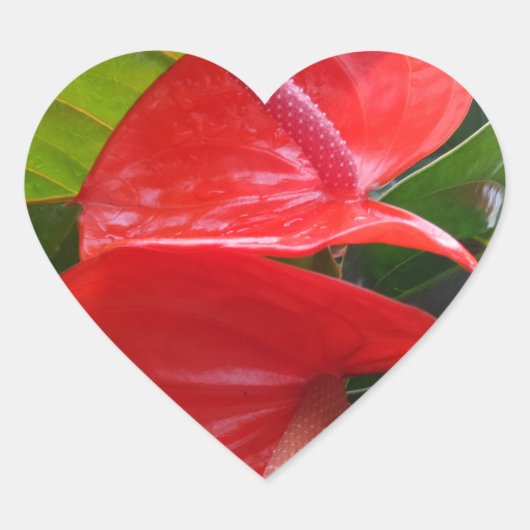 Cœur Sticker de coeur à fleurs rouges (Devant)
