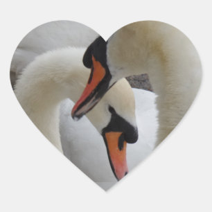Cœur Sticker de coeur des cygnes blancs