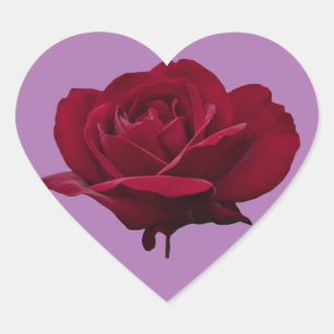 Cœur Sticker de coeur rose rouge