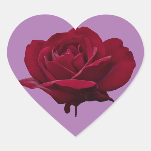 Cœur Sticker de coeur rose rouge (Devant)