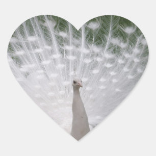 Cœur Sticker en forme de coeur de paon blanc
