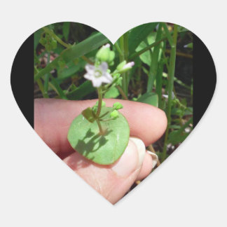 Cœur sticker en forme de coeur Little Things