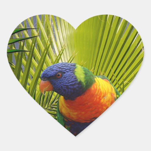 Cœur Sticker pour oiseaux tropicaux (Devant)