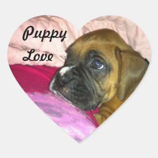 Cœur Sticker Puppy Loxer Dexter