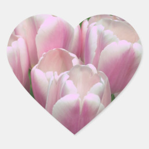 Cœur Sticker Tulips rose