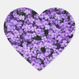 Cœur Sticker Violet Fleurs Sticker Violets Printemps