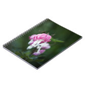 Coeurs brisés - Carnet vers le haut (Côté gauche)