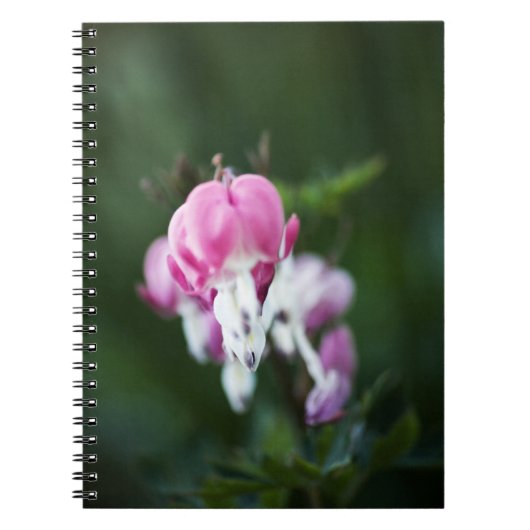 Coeurs brisés - Carnet vers le haut (Devant)