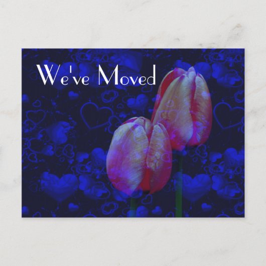 Coeurs Et Tulipes Nouvelle Adresse Carte Postale F (Devant)