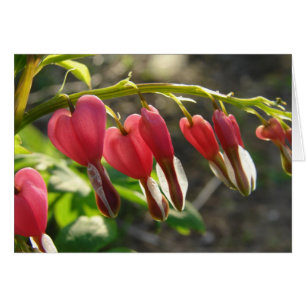 Coeurs saignants