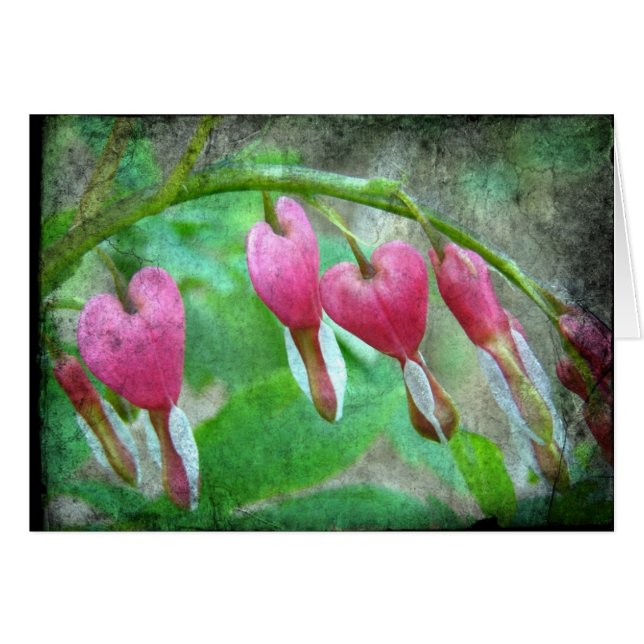 Coeurs saignants (Devant horizontal)