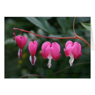 Coeurs saignants