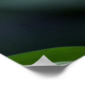 Coeurs saignants Poster des fleurs de printemps (Coin)