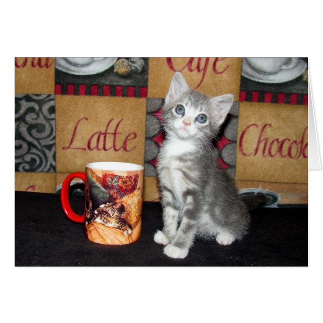 Coffe, thé, ou Meow (Devant horizontal)